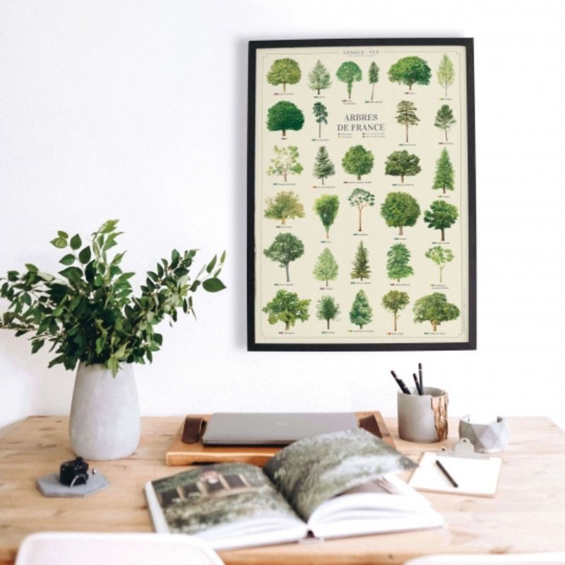 Affiche illustrée - Arbres de France