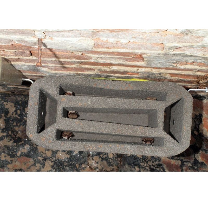 Gîte à chauves-souris pour voûte - Brique - Béton de bois - Schwegler (1GS - 770/4) Gîte à chauves-souris pour voûte - Brique - Béton de bois - Schwegler (1GS - 770/4)