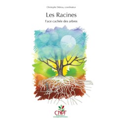 Les Racines - Face cachée des arbres