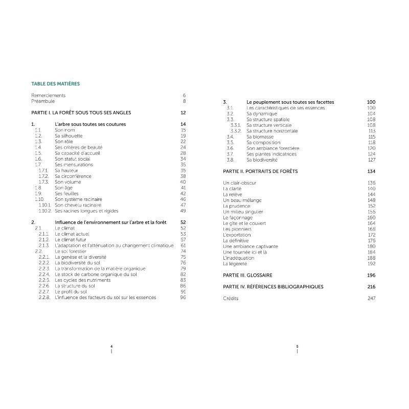 Un autre regard sur la forêt