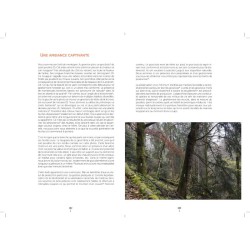 Un autre regard sur la forêt