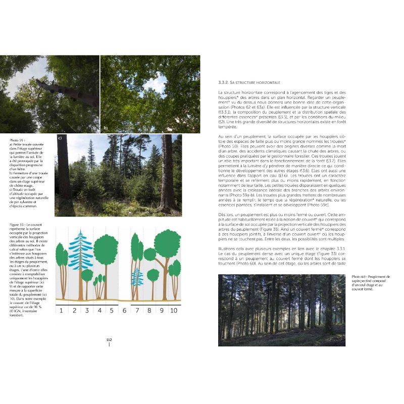 Un autre regard sur la forêt