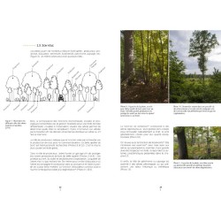 Un autre regard sur la forêt