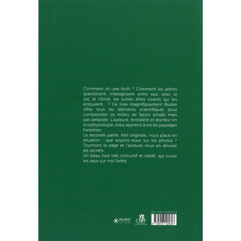 Un autre regard sur la forêt