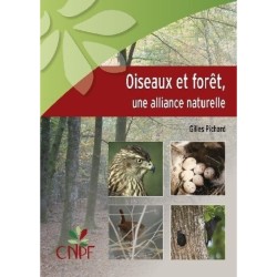 Oiseaux et forêt, une alliance naturelle