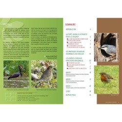 Oiseaux et forêt, une alliance naturelle