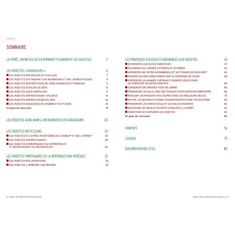 Insectes et forêt, des relations complexes et essentielles