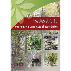 Insectes et forêt, des relations complexes et essentielles