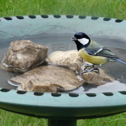 Abreuvoir sur pied - 71 cm Abreuvoir sur pied - 71 cm