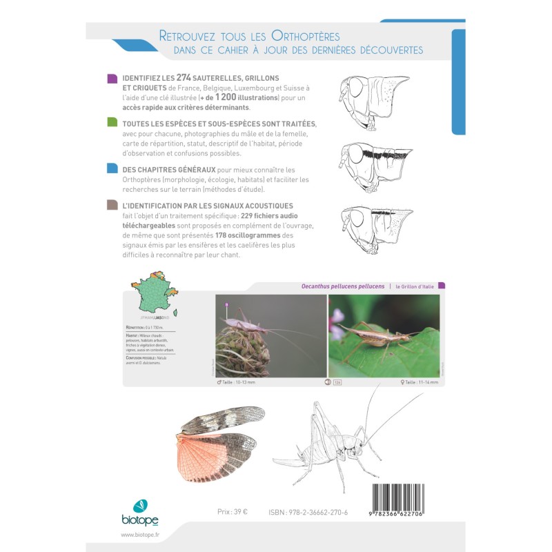 Cahier d'identification des Orthoptères de France, Belgique, Luxembourg et Suisse (2ème édition)