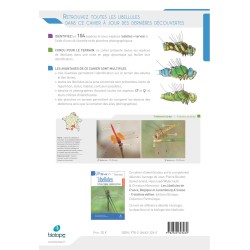 Cahier d'identification des libellules de France, Belgique, Luxembourg et Suisse (3ème édition)