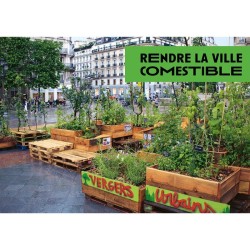 Cultiver la ville - L'agriculture urbaine pour rendre la ville nourricière