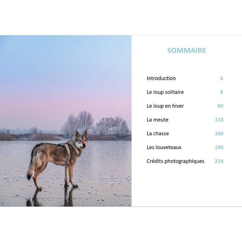 Les loups - Sauvages et fascinants