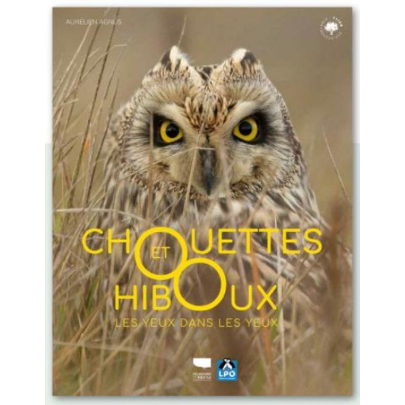 Chouettes et hiboux - Les yeux dans les yeux