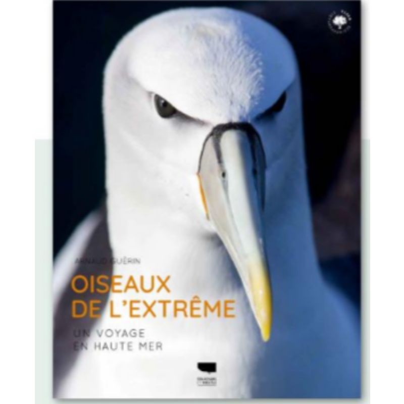 Oiseaux de l'extrême