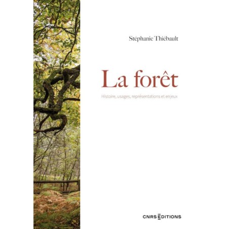 La forêt - Histoire, usages, représentations et enjeux