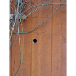 Nichoir Ø 32 mm à intégrer N°24 - Schwegler (710/0) Nichoir Ø 32 mm à intégrer N°24 - Schwegler (710/0)