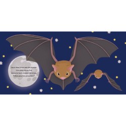 Les P'tites Chauves-souris