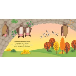 Les P'tites Chauves-souris