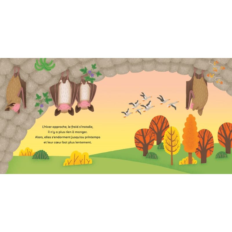 Les P'tites Chauves-souris