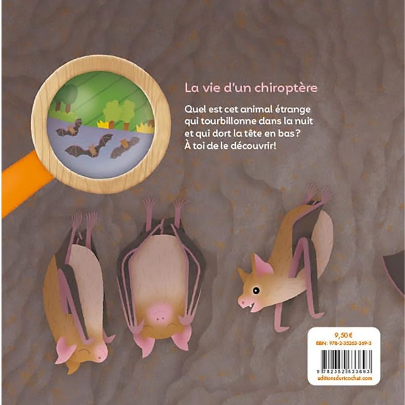 Les P'tites Chauves-souris