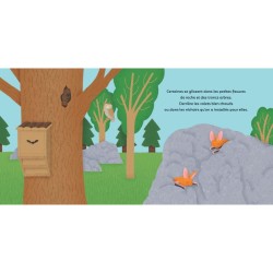 Les P'tites Chauves-souris