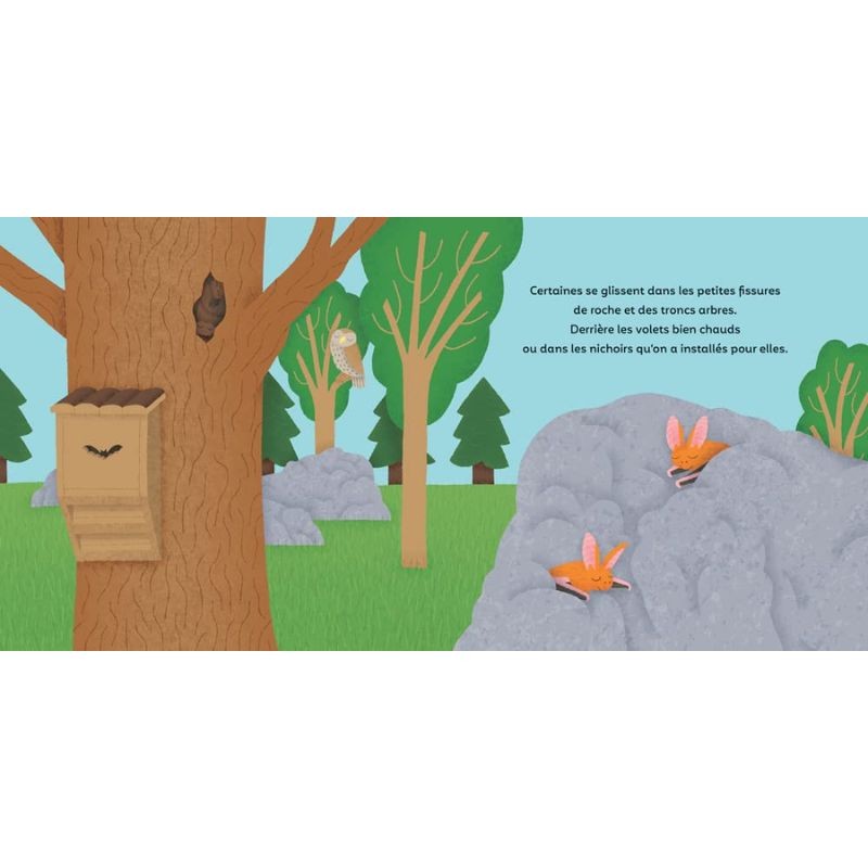 Les P'tites Chauves-souris