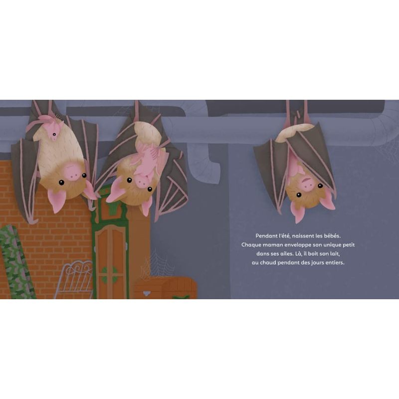 Les P'tites Chauves-souris