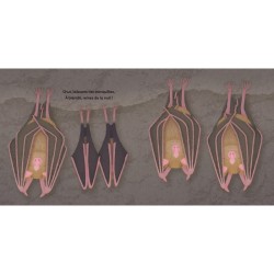 Les P'tites Chauves-souris