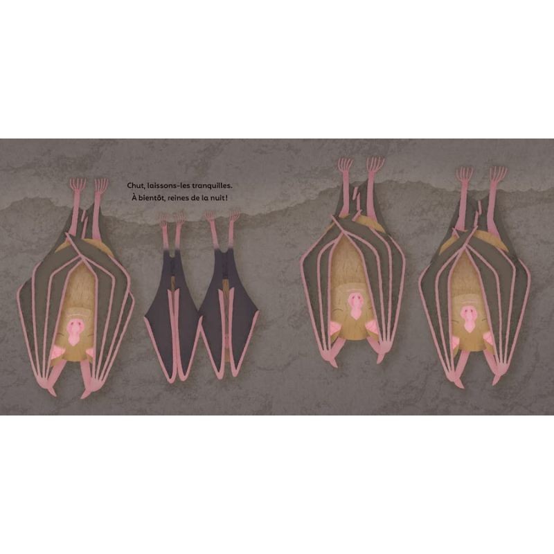 Les P'tites Chauves-souris