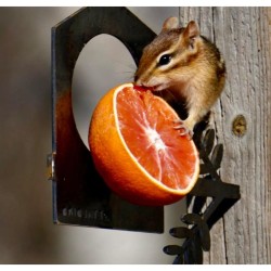 Support mangeoire en métal - Métalbird Support mangeoire en métal - Métalbird