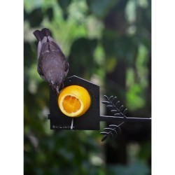 Support mangeoire en métal - Métalbird Support mangeoire en métal - Métalbird