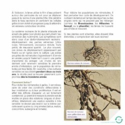 Faites tourner ! Les rotations dans mon potager Faites tourner ! Les rotations dans mon potager