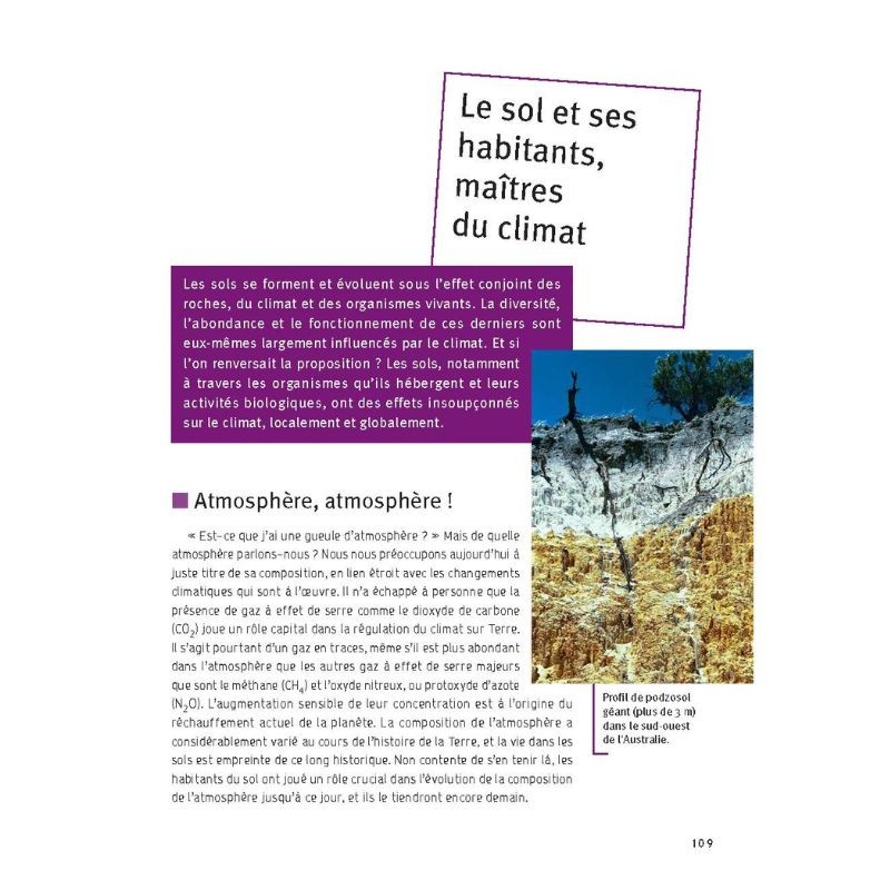 La vie cachée des sols La vie cachée des sols