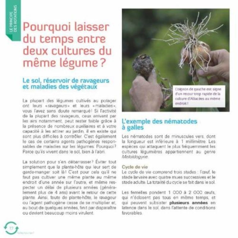 Faites tourner ! Les rotations dans mon potager Faites tourner ! Les rotations dans mon potager