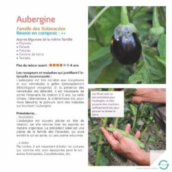 Faites tourner ! Les rotations dans mon potager Faites tourner ! Les rotations dans mon potager