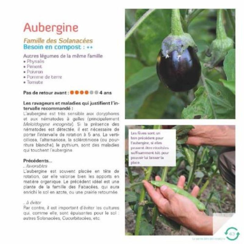 Faites tourner ! Les rotations dans mon potager Faites tourner ! Les rotations dans mon potager