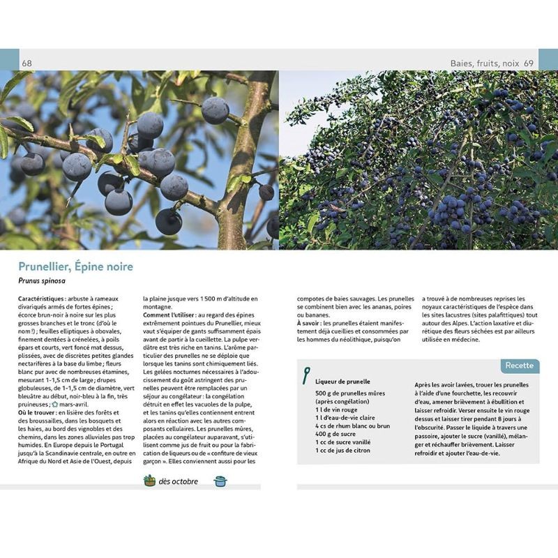 Plantes sauvages comestibles et toxiques - 170 baies, fruits et herbes sauvages Plantes sauvages comestibles et toxiques - 170 baies, fruits et herbes sauvages