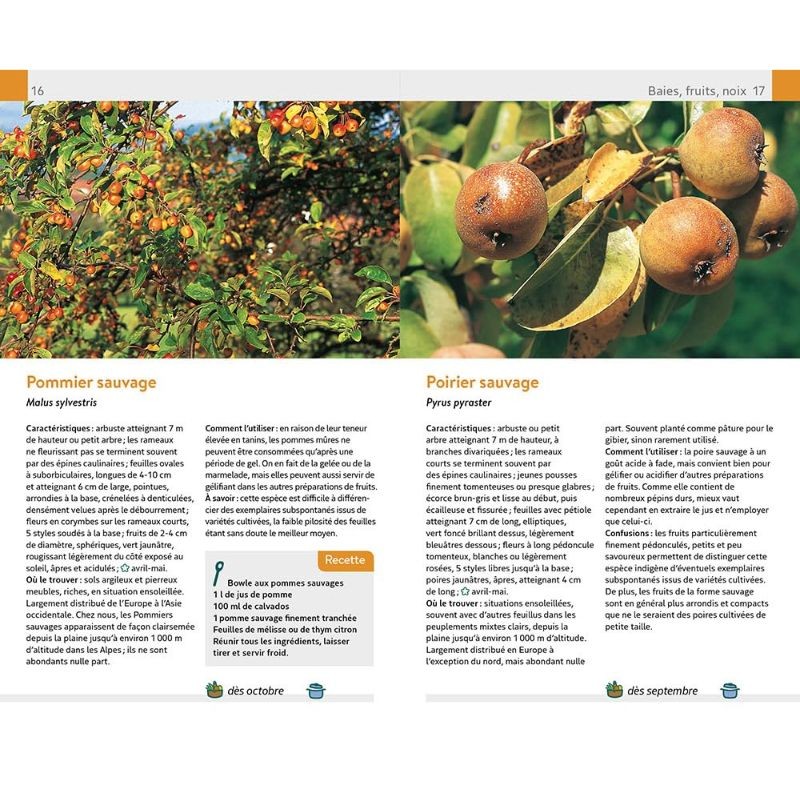 Plantes sauvages comestibles et toxiques - 170 baies, fruits et herbes sauvages Plantes sauvages comestibles et toxiques - 170 baies, fruits et herbes sauvages