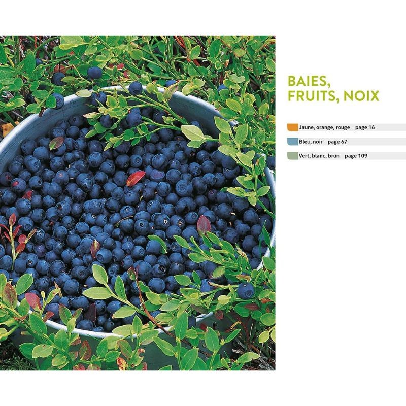 Plantes sauvages comestibles et toxiques - 170 baies, fruits et herbes sauvages Plantes sauvages comestibles et toxiques - 170 baies, fruits et herbes sauvages