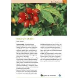 Plantes sauvages comestibles et toxiques - 170 baies, fruits et herbes sauvages Plantes sauvages comestibles et toxiques - 170 baies, fruits et herbes sauvages