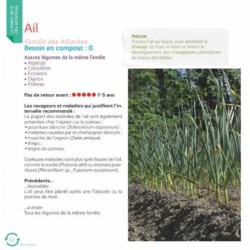 Faites tourner ! Les rotations dans mon potager Faites tourner ! Les rotations dans mon potager