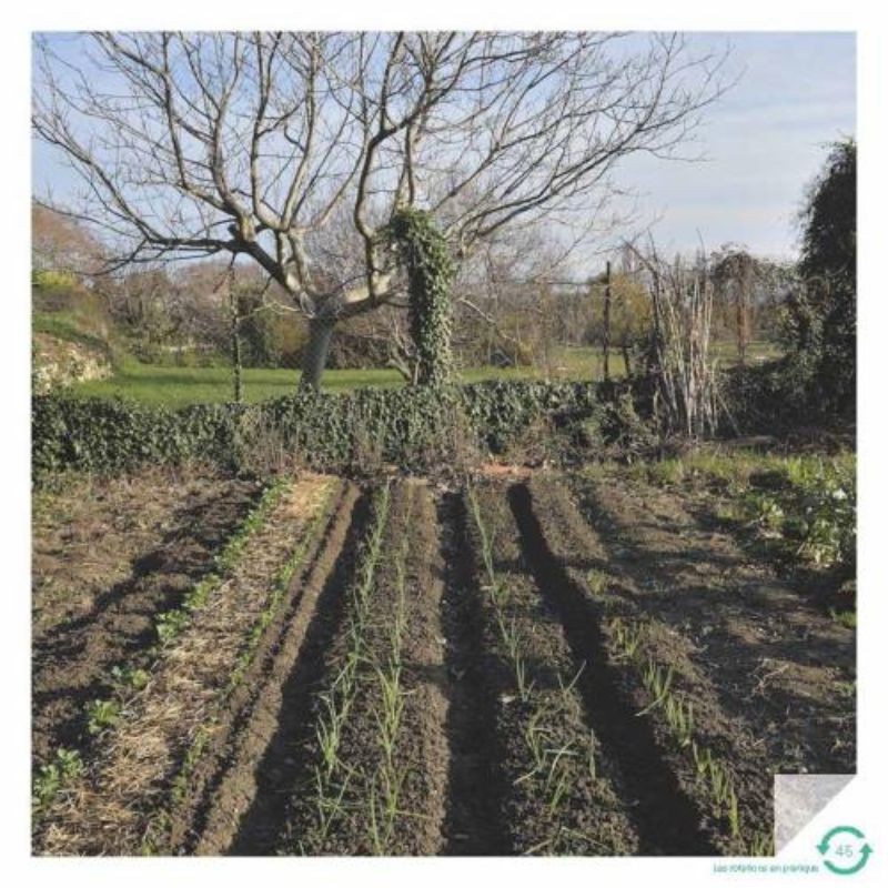 Faites tourner ! Les rotations dans mon potager Faites tourner ! Les rotations dans mon potager
