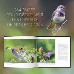 Extraordinaires oiseaux