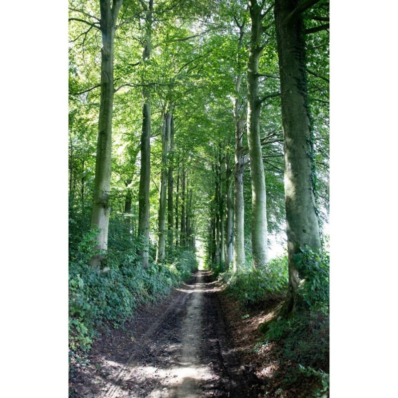 Randonnées en Boucle dans la province de Hainaut (RB Hainaut) Randonnées en Boucle dans la province de Hainaut (RB Hainaut)