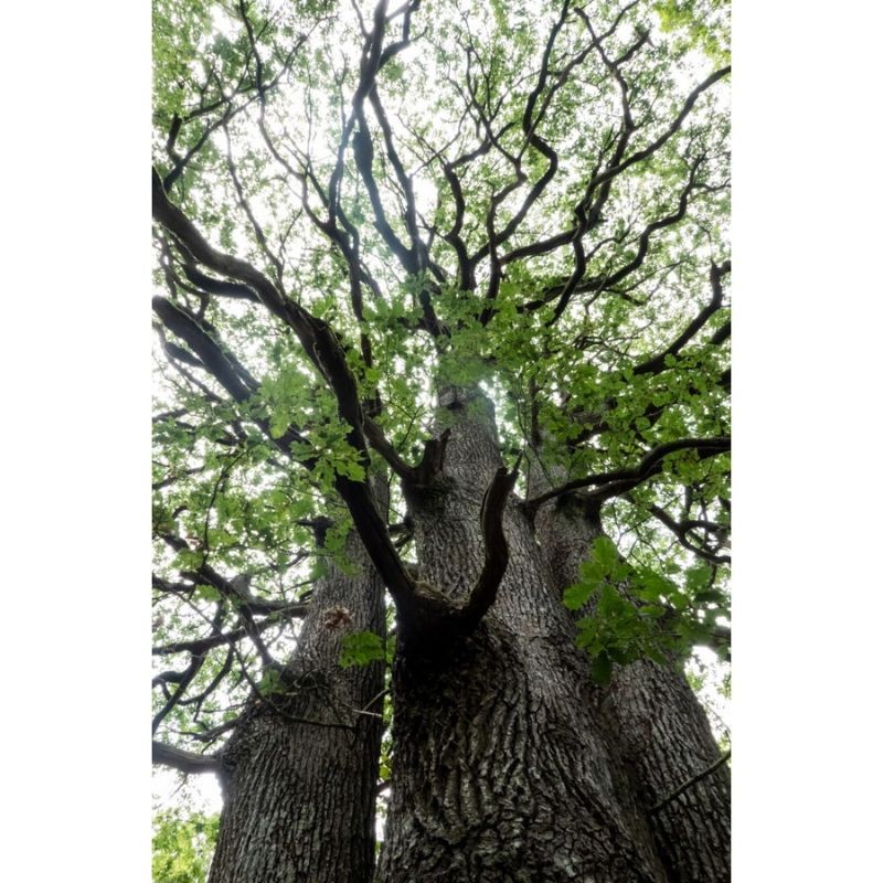 Randonnées en Boucle dans la province de Hainaut (RB Hainaut) Randonnées en Boucle dans la province de Hainaut (RB Hainaut)