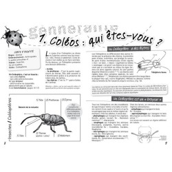 A la rencontre des Coléoptères A la rencontre des Coléoptères