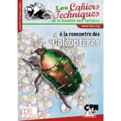 A la rencontre des Coléoptères