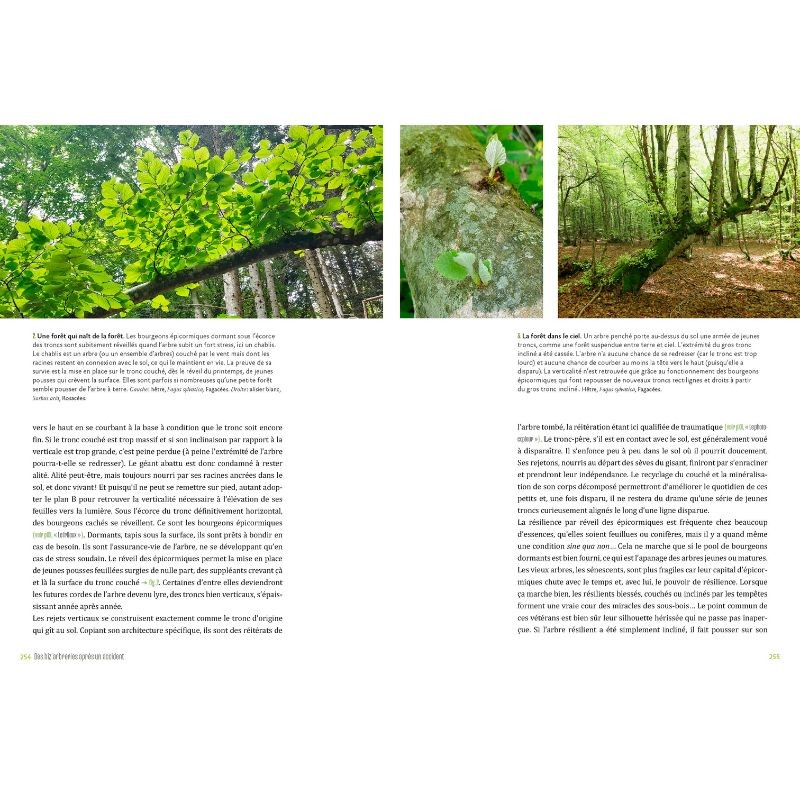 Vous avez dit biz’arbres ? Vous avez dit biz’arbres ?