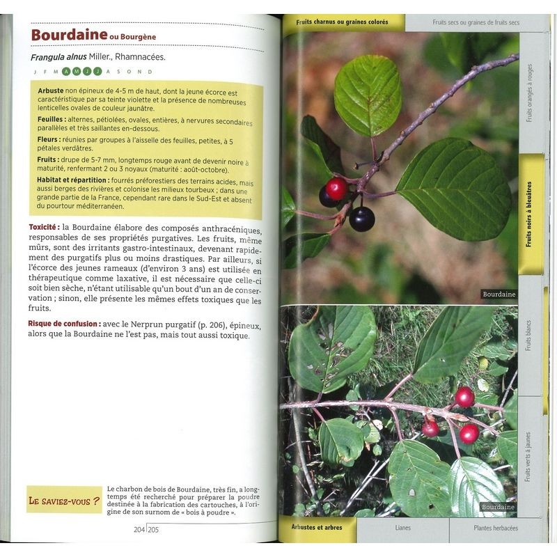 Guide des plantes toxiques et allergisantes